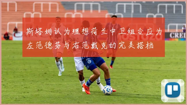 斯塔姆认为理想荷兰中卫组合应为左范德芬与右范戴克的完美搭档