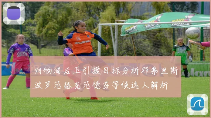 利物浦后卫引援目标分析邓弗里斯波罗范赫克范德芬等候选人解析