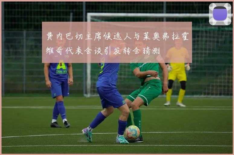 费内巴切主席候选人与莱奥弗拉霍维奇代表会谈引发转会猜测